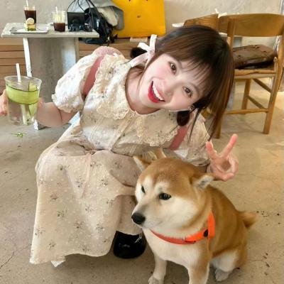 留给吾爱的日记